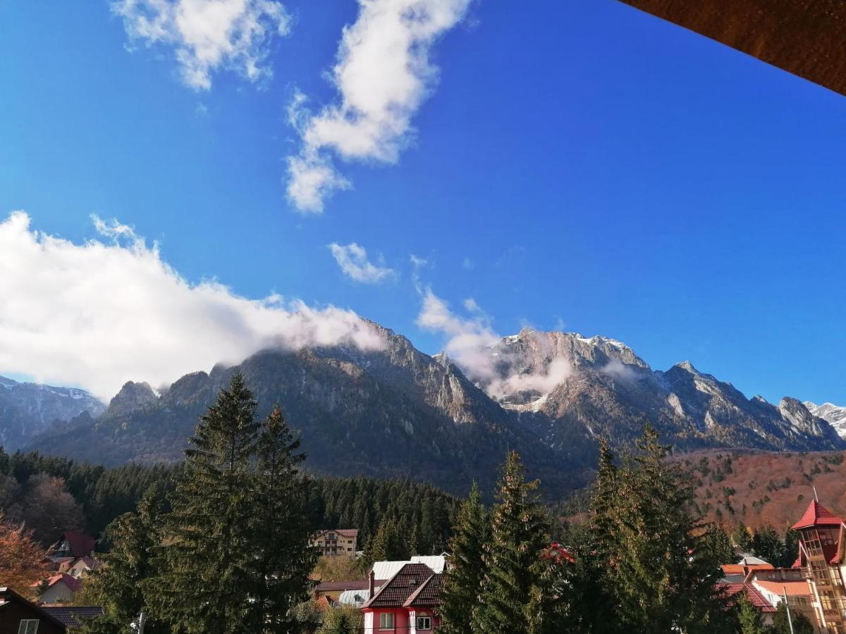 Casa Magica Buşteni 外观 照片
